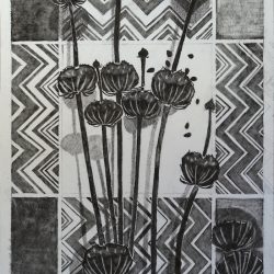 Phlomis Russeliana on my tiled floor - pencil drawing