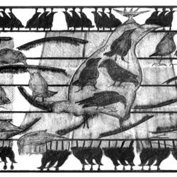 Birds on a musical wire - pencil drawing